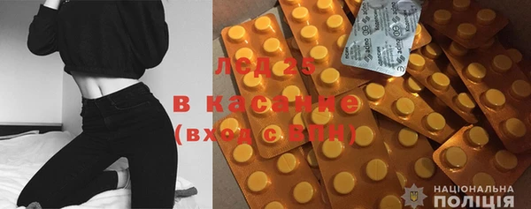 хмурый Верея