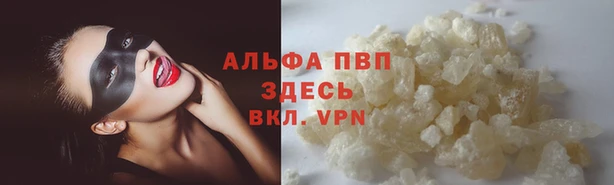 прущие грибы Верхний Тагил