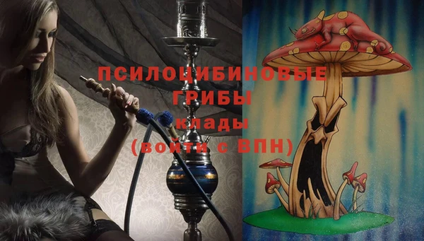 прущие грибы Верхний Тагил