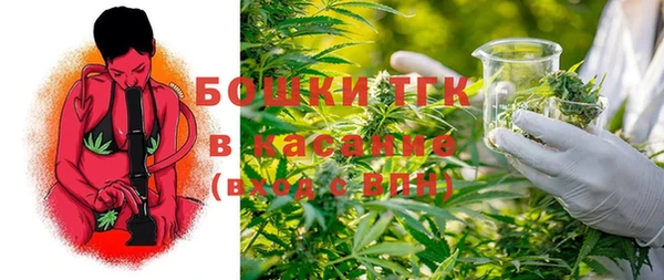 хмурый Верея