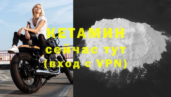 прущие грибы Верхний Тагил