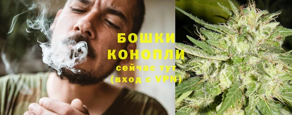 прущие грибы Верхний Тагил
