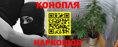 метадон Донской